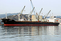 JIN FAN — Bulk Carrier, Panama flag, built 2002
