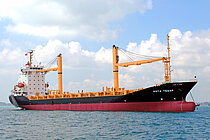 DONGJIN FORTUNE — Container Ship, KOREA flag, built 2002