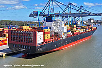 MSC QINGDAO — Container Ship, Liberia flag, built 2004