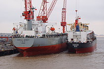 MOANA INFINITY — Bulk Carrier, Marshall Islands flag, built 2002