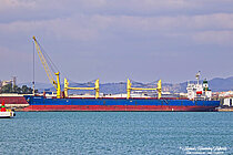 DSM HARBOUR — Bulk Carrier, Barbados flag, built 2004