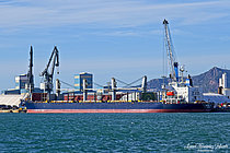 MARINA S — Bulk Carrier, Panama flag, built 2004