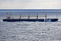 PACIFIC SOPHIA — Bulk Carrier, Republic of Panama flag, built 2005