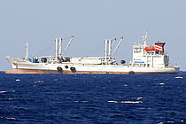 MYLO — Specialized Cargo Ship, KOREA flag, built 2003