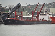 LIBERTY EAGLE — Bulk Carrier, United States of America flag, built 2002