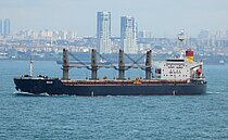 MILAS — Bulk Carrier, TURKEY flag, built 2004