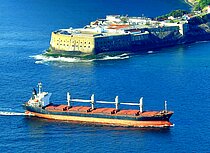 DREAM — Bulk Carrier, St.Kitts and Nevis flag, built 2003