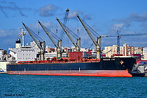 LEEM — Bulk Carrier, Panama flag, built 2005