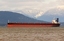 STAR KAMILA — Bulk Carrier, Marshall Islands flag, built 2005