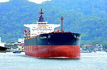 THALASSINI — Bulk Carrier, Malta flag, built 2005
