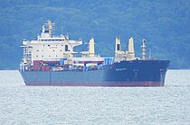 HORIZON HOPE — Bulk Carrier, Republic of Guinea-Bissau flag, built 2004
