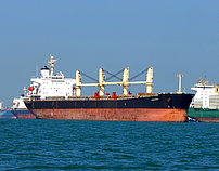 SEA AMELIA — Bulk Carrier, Panama flag, built 2004
