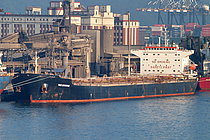 THE STRONG — Bulk Carrier, PANAMA flag, built 2004