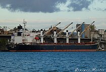 BOLD HORIZON — Bulk Carrier, Marshall Islands flag, built 2003