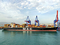MSC SUSANNA