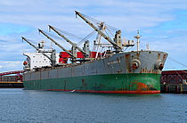 YE LIN — Bulk Carrier, Republic of Panama flag, built 2004