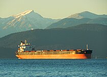 PANDA — Bulk Carrier, Republic of the Marshall Islands flag, built 2004