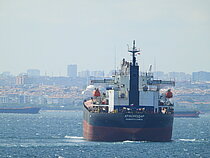 KRASNODAR — Bulk Carrier, Russia flag, built 2005