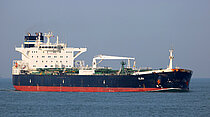 URSUS MARITIMUS