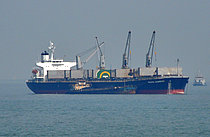 CAMELLIA 8 — Bulk Carrier, Hong Kong, China flag, built 2006