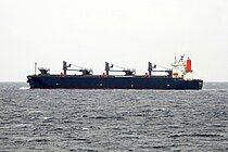 OSMANTHUS — Bulk Carrier, Panama flag, built 2008