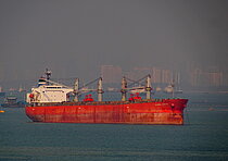 ASL ELSA — Bulk Carrier, Panama flag, built 2006