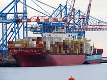 MSC UTMOST VIII
