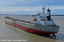 DOLPHIN 79 — Bulk Carrier, PANAMA flag, built 2006