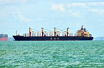 WELL DREAM — Bulk Carrier, Panama flag, built 2005