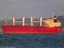 DHARMA LAUTAN RUBY — Bulk Carrier, INDONESIA flag, built 2007