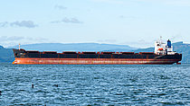 ELIDI — Bulk Carrier, Bahamas flag, built 2006