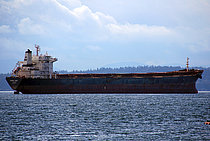 WEI YE FU YUN — Bulk Carrier, China Peoples's Republic flag, built 2005