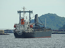 WELL SAILING — General Cargo Ship, Bahamas flag, built 2004