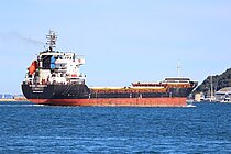 SEVEN AMARANTA — General Cargo Ship, Italy flag, built 2007