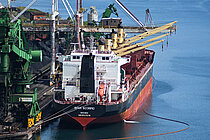 SPAR SCORPIO — Bulk Carrier, NORWAY flag, built 2006