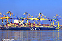 MSC TOMOKO — Container Ship, Panama flag, built 2006