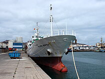MME SEDA SAGUN — General Cargo Ship, Türkiye flag, built 2004