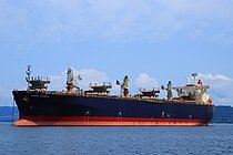 ALBANY PIONEER — Bulk Carrier, Japan flag, built 2007