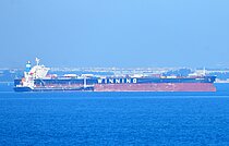 WINNING QUEEN — Bulk Carrier, Hong Kong, China flag, built 2006