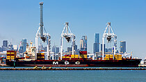 MSC CAPETOWN III — Container Ship, Portugal (Madeira) flag, built 2006