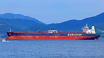 MONACO LOYALTY — Oil And Chemical Tanker, MARSHALL ISLANDS flag, built 2007