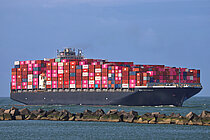 NYK OCEANUS