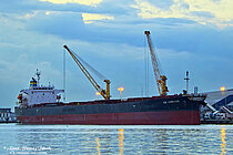 G.B.CORRADO — Bulk Carrier, Bahamas flag, built 2008