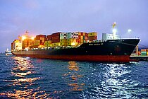 MSC VAIGA III — Container Ship, Liberia flag, built 2005