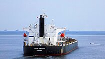 LUMOSO DAMAI — Bulk Carrier, Indonesia flag, built 2007