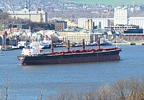 DATO FORTUNE — Bulk Carrier, Panama flag, built 2005