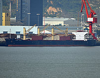 FENG SHUN — Bulk Carrier, Hong Kong, China flag, built 2005