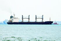 MAYUREE NAREE — Bulk Carrier, Thailand flag, built 2008