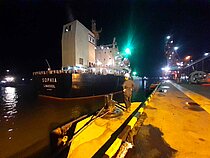 SOPHIA — Bulk Carrier, Cyprus flag, built 2007