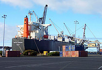 WHITE KINGDOM — Bulk Carrier, JAPAN flag, built 2007
